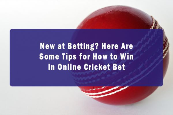 New at Betting? Here Are Some Tips for How to Win in Online Cricket Bet