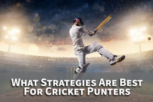 What Strategies Are Best For Cricket Punters | CBTF Tube