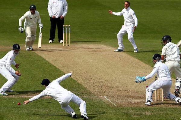 The Most Epic Cricket Highlights from Matches