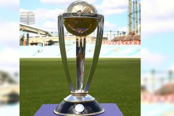 A closer look at the standout performers of the ICC World Cup